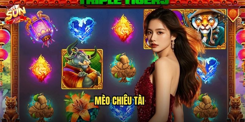 Mèo chiêu tài